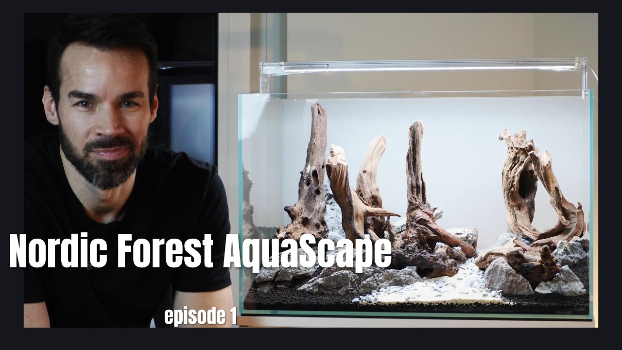 Nordic Forest Aquascape Tutorial - Episode 1
