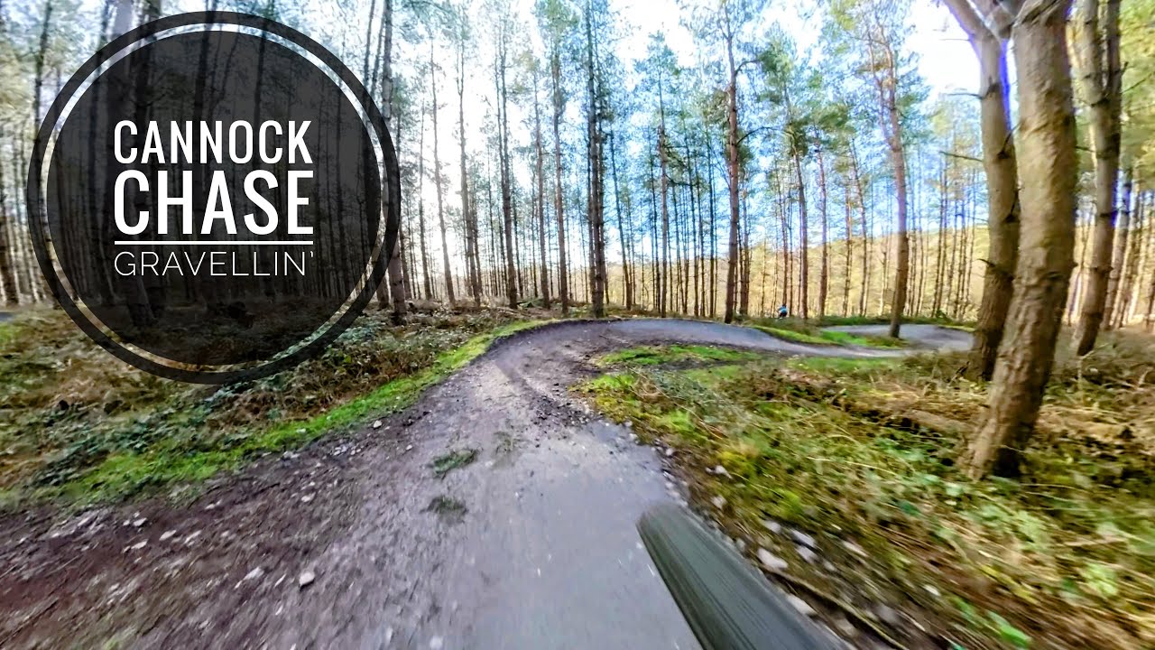 Cannock Chase Forest Gravellin’