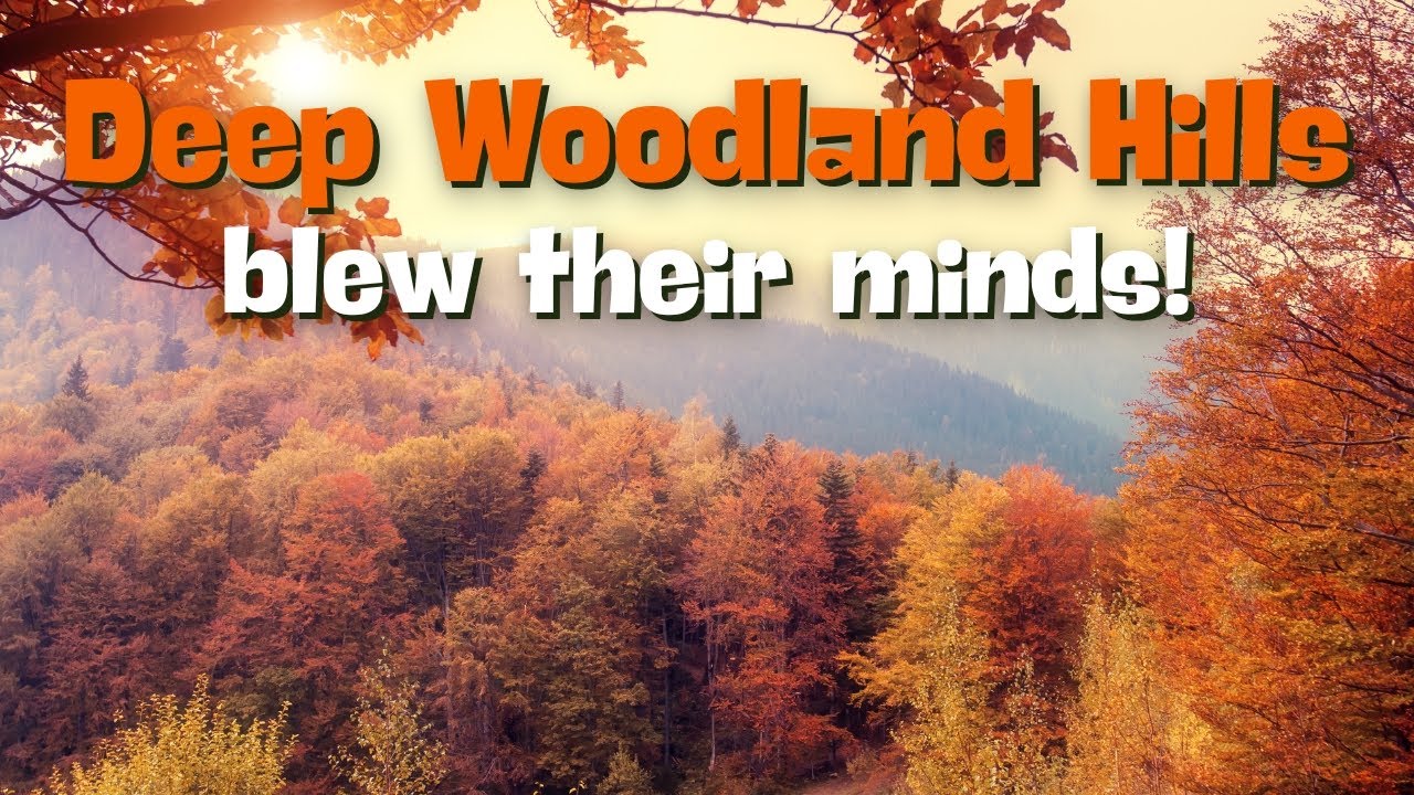 Autumn hike – London hiking – Hiking club – Hiking for Beginners