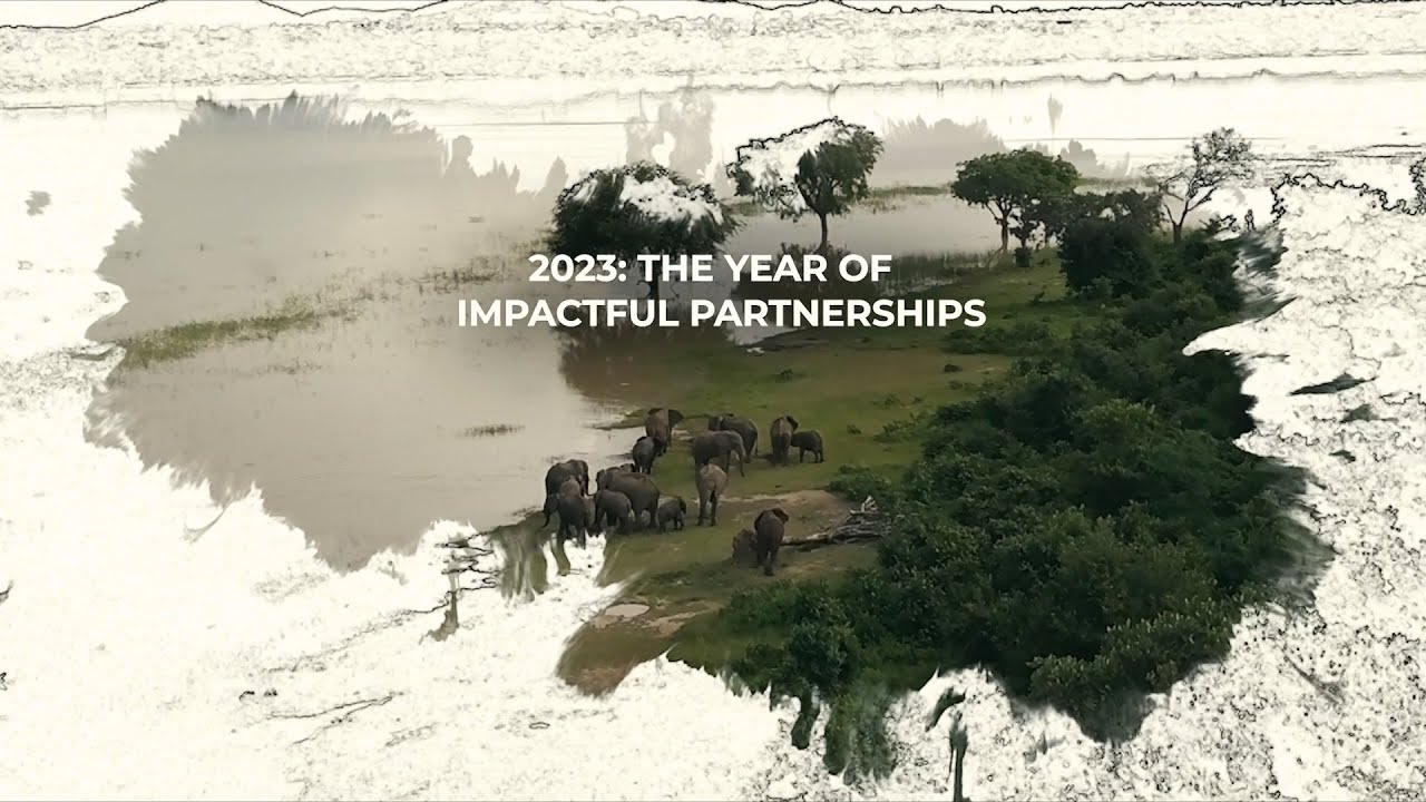 A Year of Impactful Partnerships