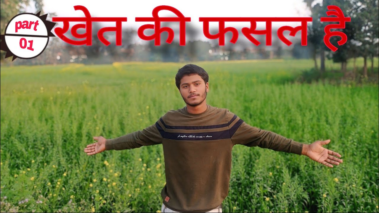 Khet ka fasal hai❤️👌#blog #blogger #viral #feed#india