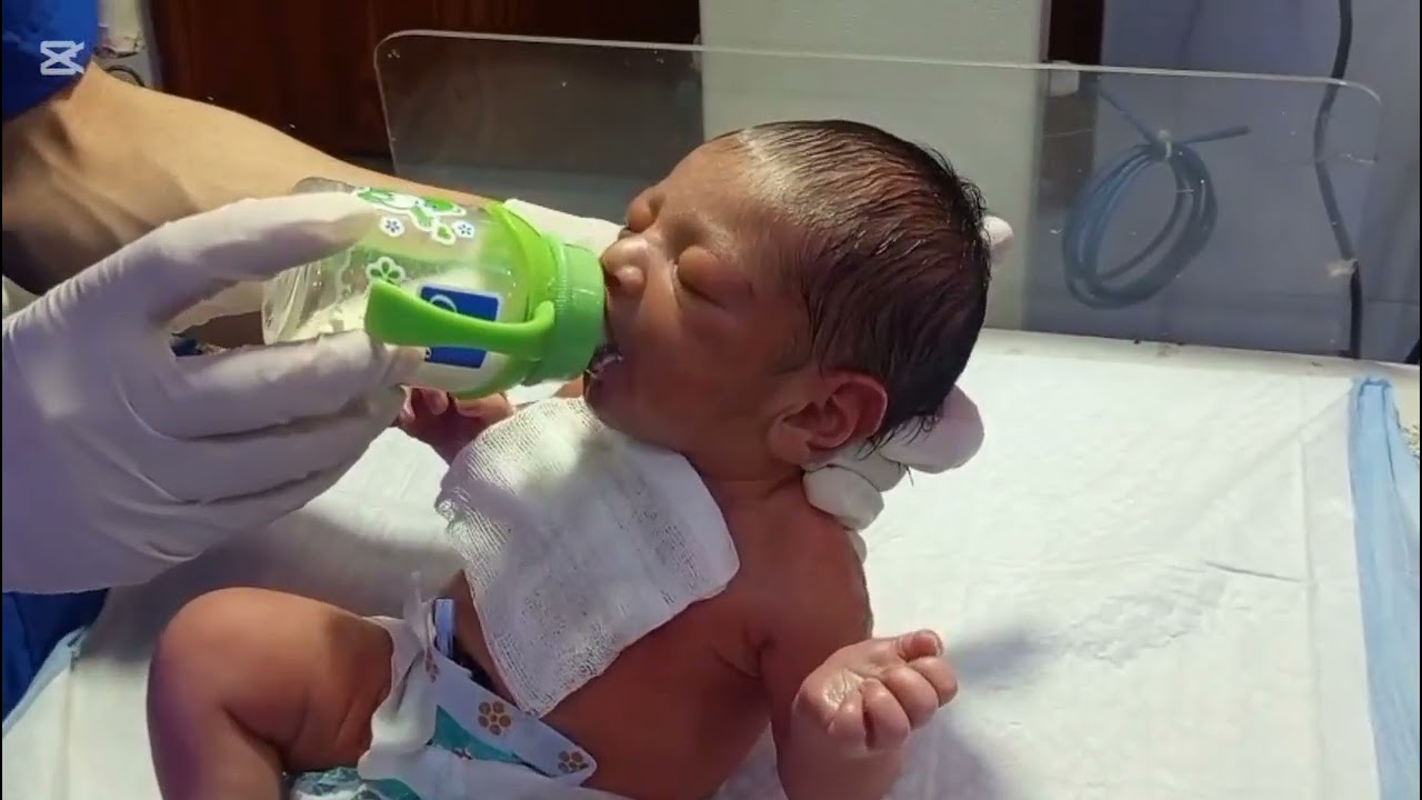 ✨ Peaceful Bottle Feeding Moment❤️‍🩹🌟🍼
