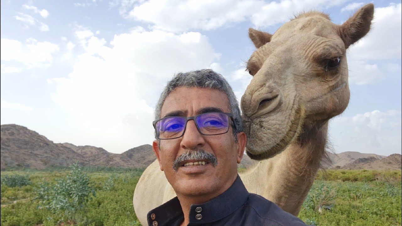جوله في بادية بني كبير(KSA)#013