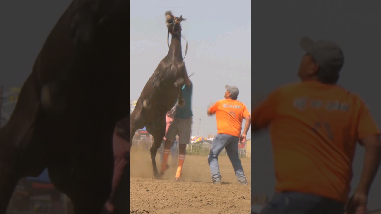 America's first extreme sport. Indian Relay Race 2.9.2024
