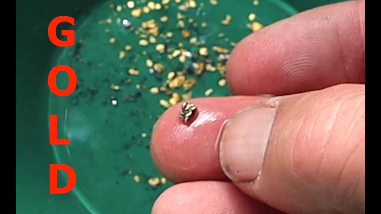 Underwater Sniping Gold on Historic Creek
