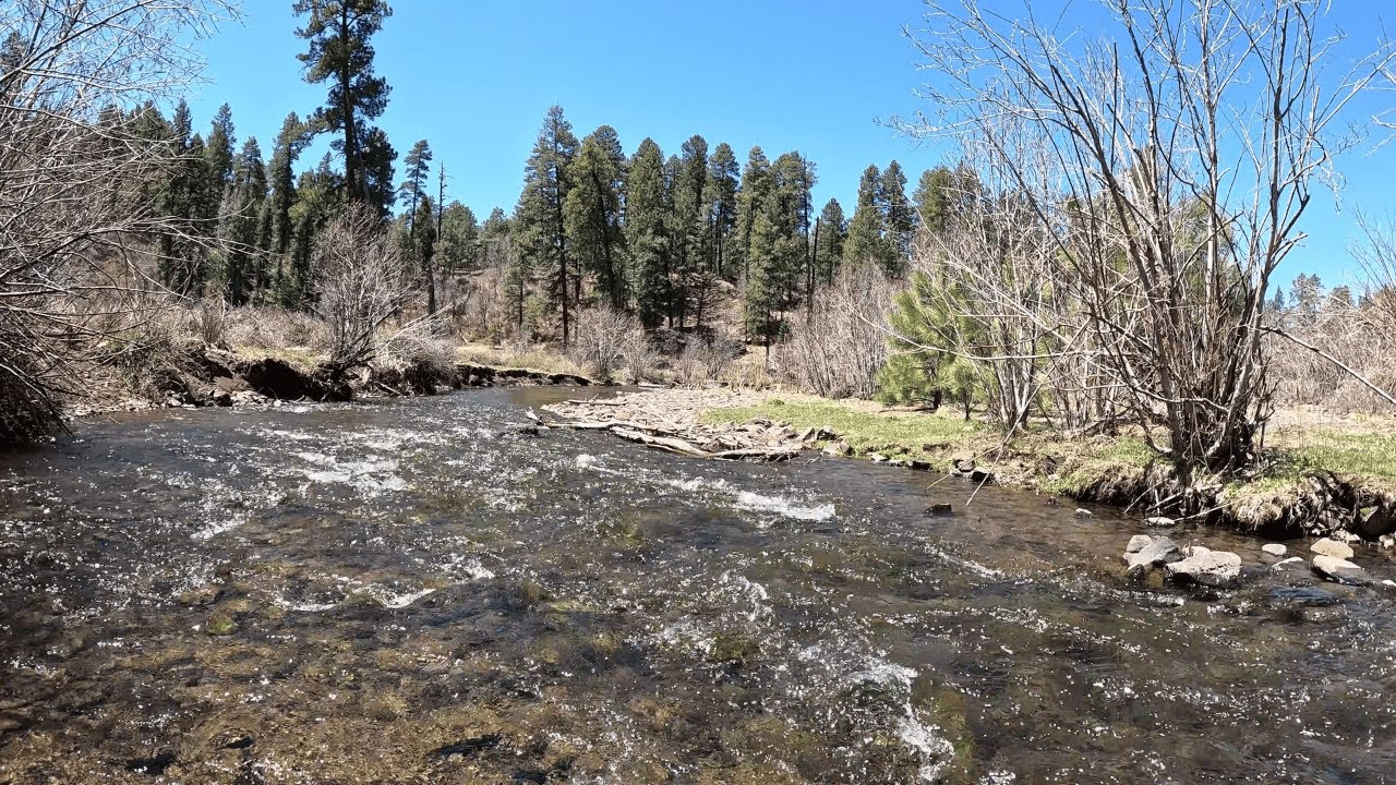 Relaxing Outdoor Peaceful Nature River Walk ASMR