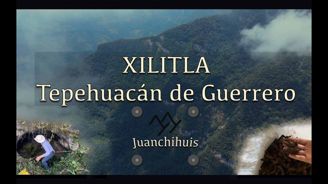 XILITLA TEPEHUACÁN, CHILE RAYADO DE LA SIERRA HIDALGUENSE 🌶