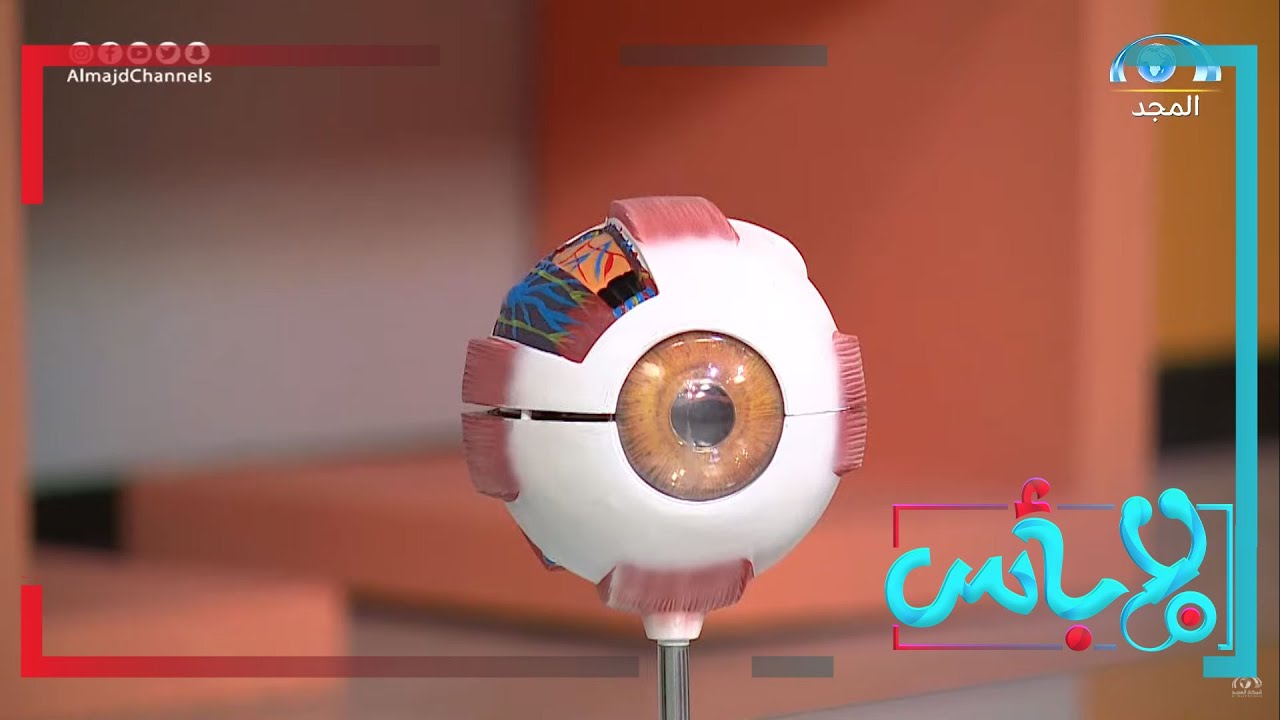 ما هي  عدسة العين؟ وما الفرق بين طول او قصر النظر ؟