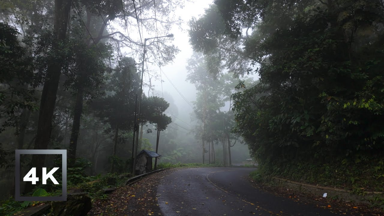 Walking through on a Closed Mountain Road – Gumitir Pass, Indonesia ID | 4K Walking Ambience