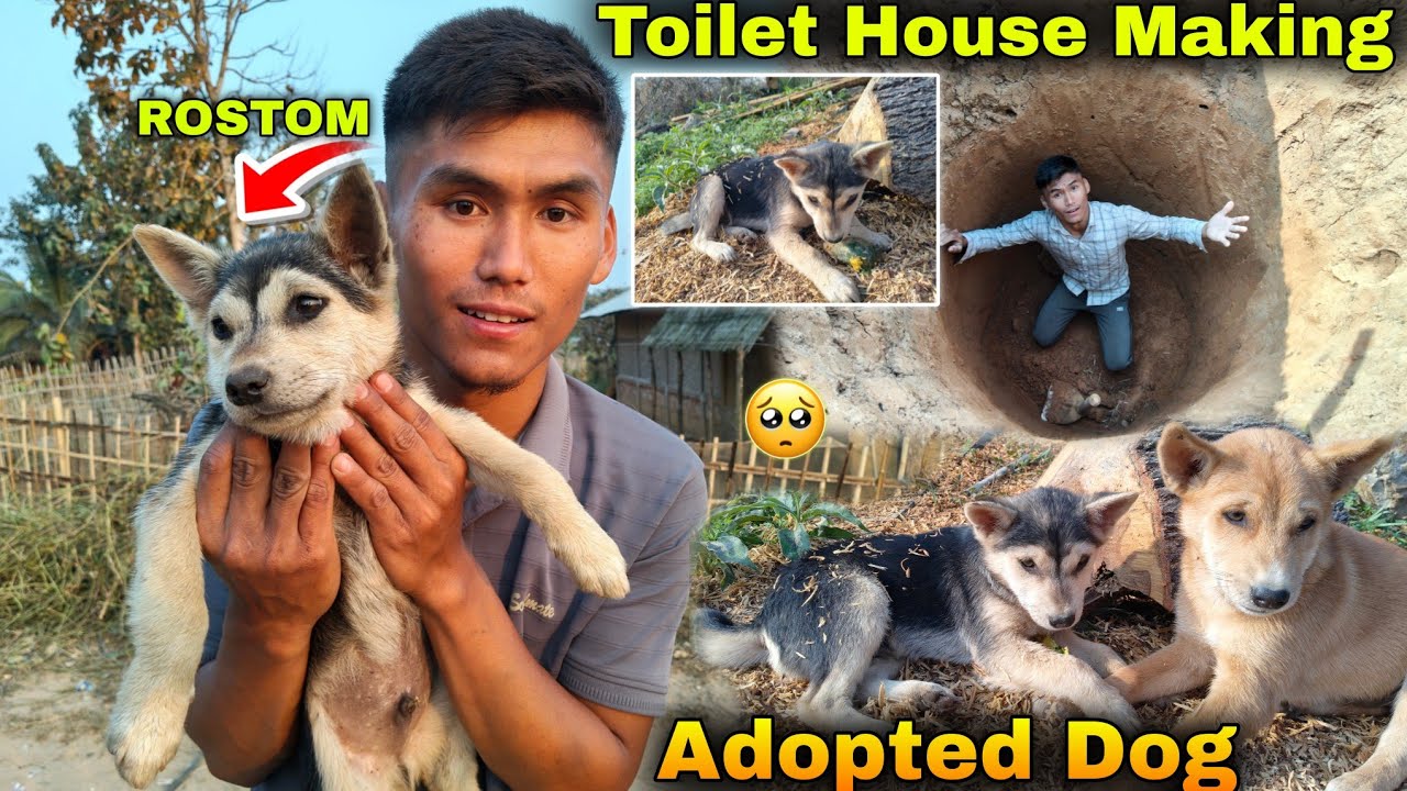 Finally Adopted A DOG 🐕For Home Security || Nickname ROSTOM ?