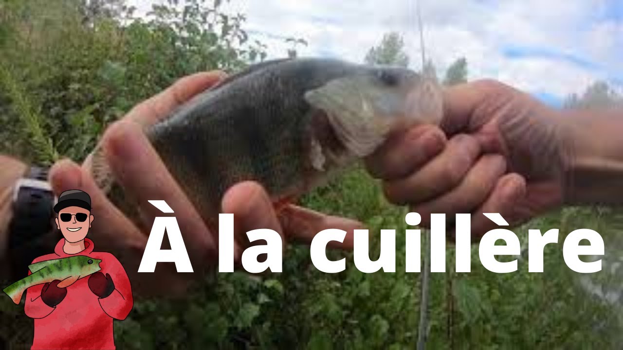 Un dimanche à la pêche à la cuillère