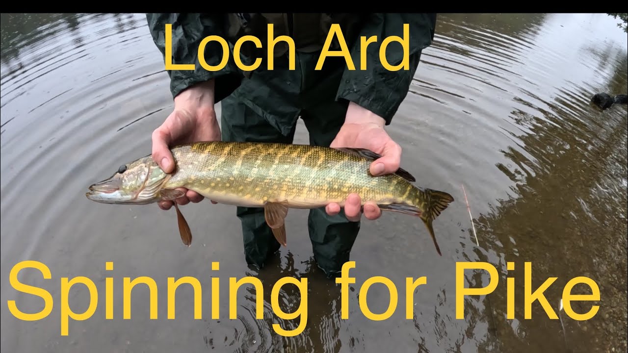 Pike Fishing in a New Location   ( Loch Ard )