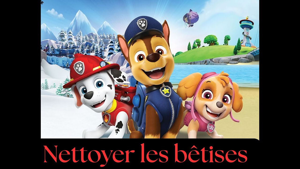 Un Délire Pat patrouille Mission : Nettoyer les bêtises des chatons de Hellinger !