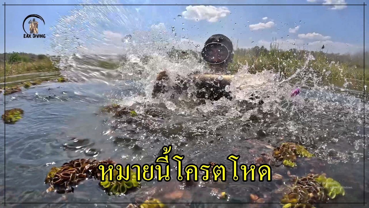 ดำน้ำยิงปลา หมายนี้โครตโหด หมานคือเก่า