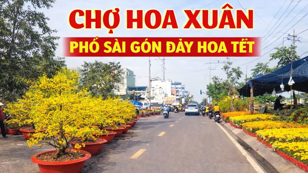 các con phố rực rỡ màu sắc hoa tết đượ bày bán khắp các nẻo đường ở hồ chí minh