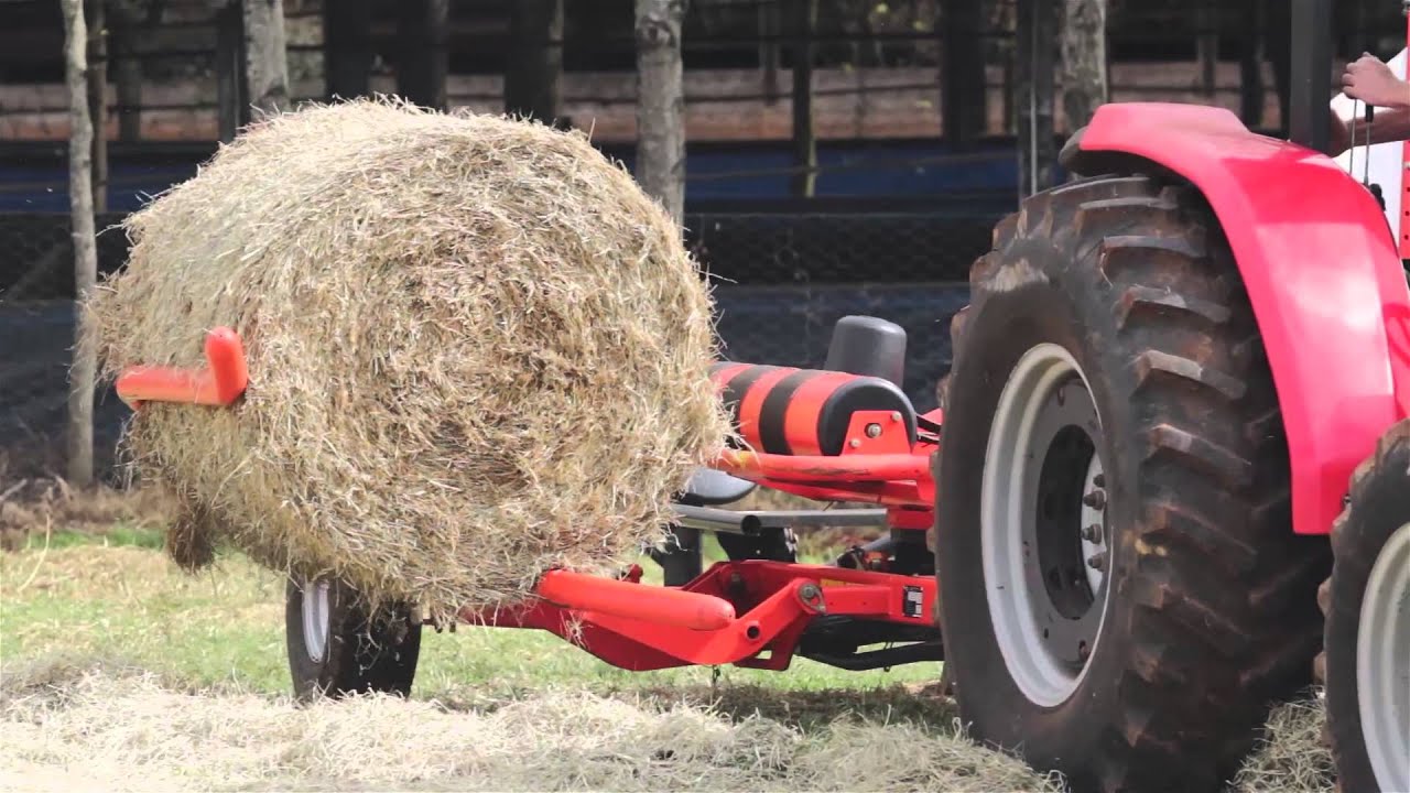 Demonstração feno, pré secado, fazenda werlang