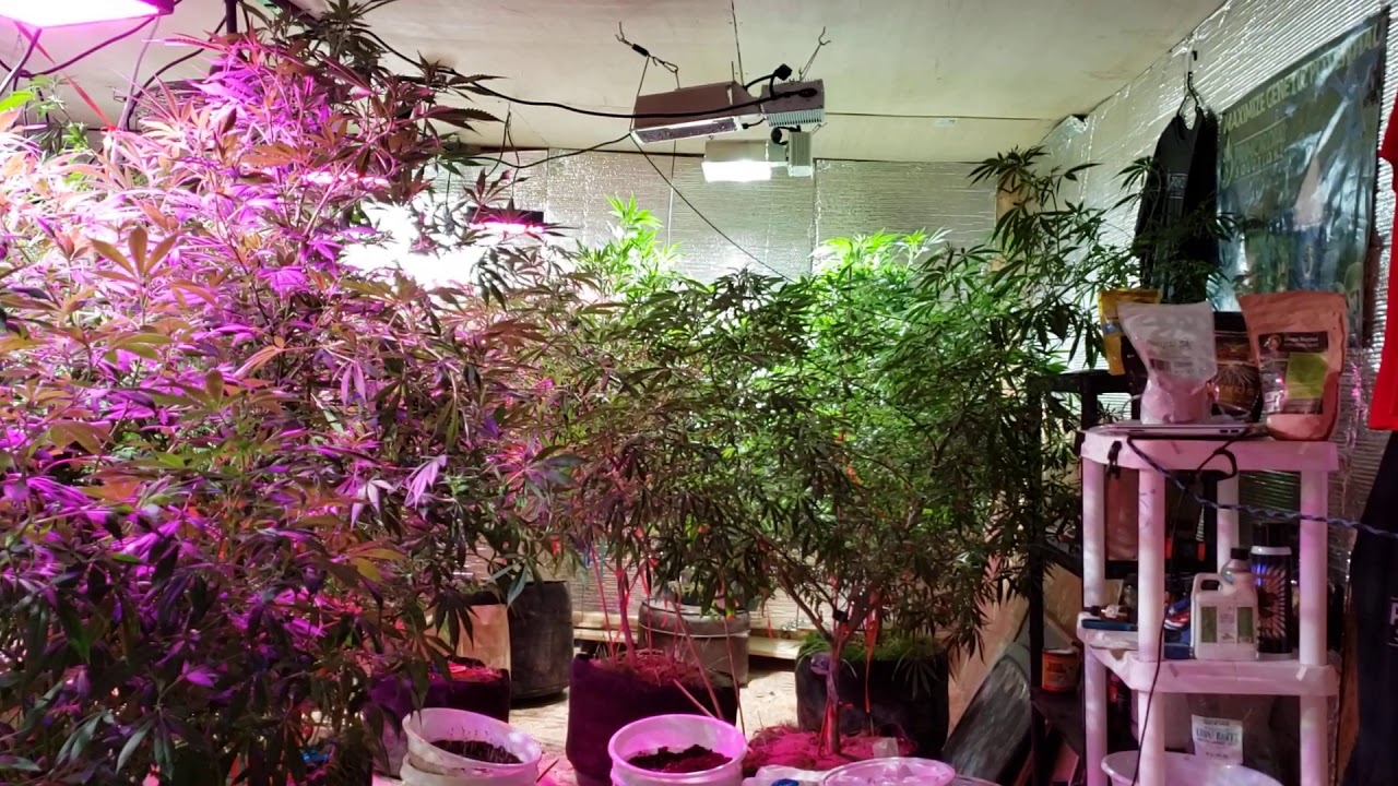 15 days till these girls go outside