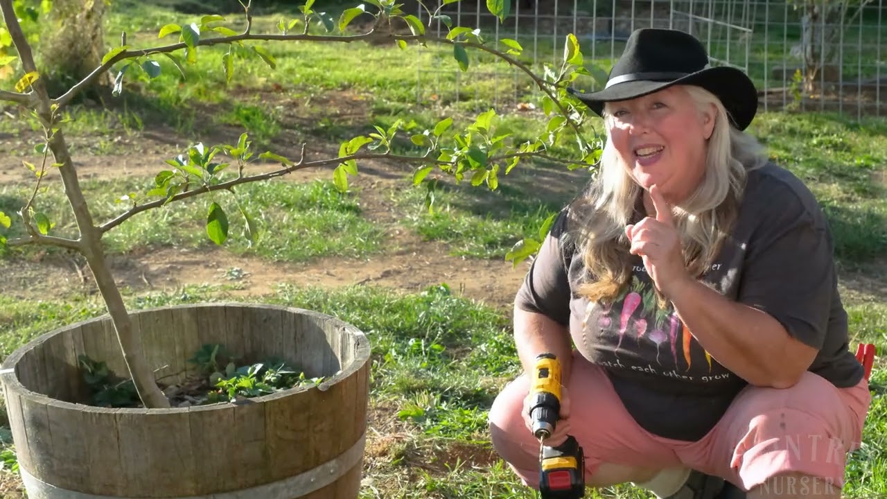 Portable Espalier: The Garden Project That Travels