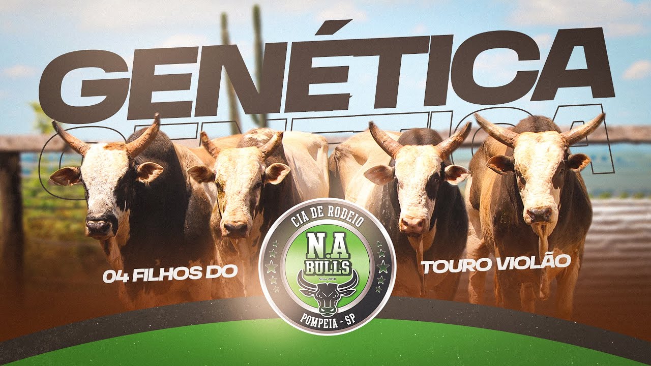 🐂 Conheça a história da CIA NA BULLS que iniciará trabalho de GENÉTICA com venda de SÊMEN