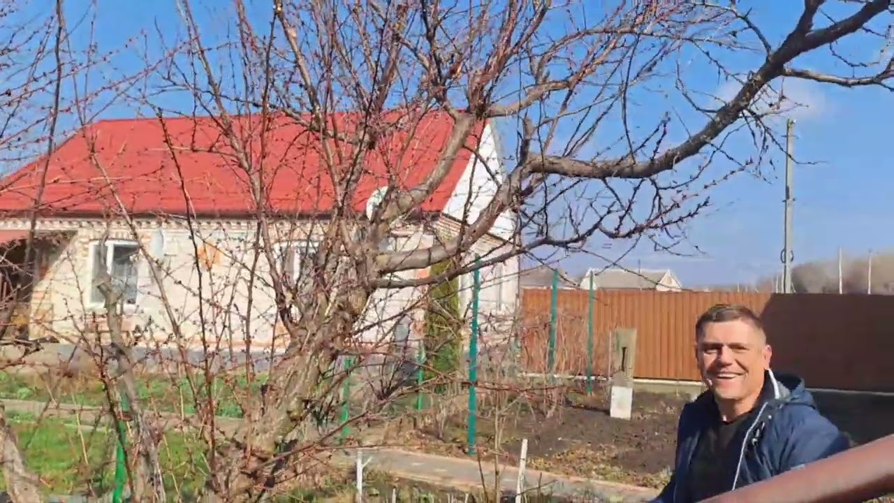 Детальна обрізка старого Абрикоса
