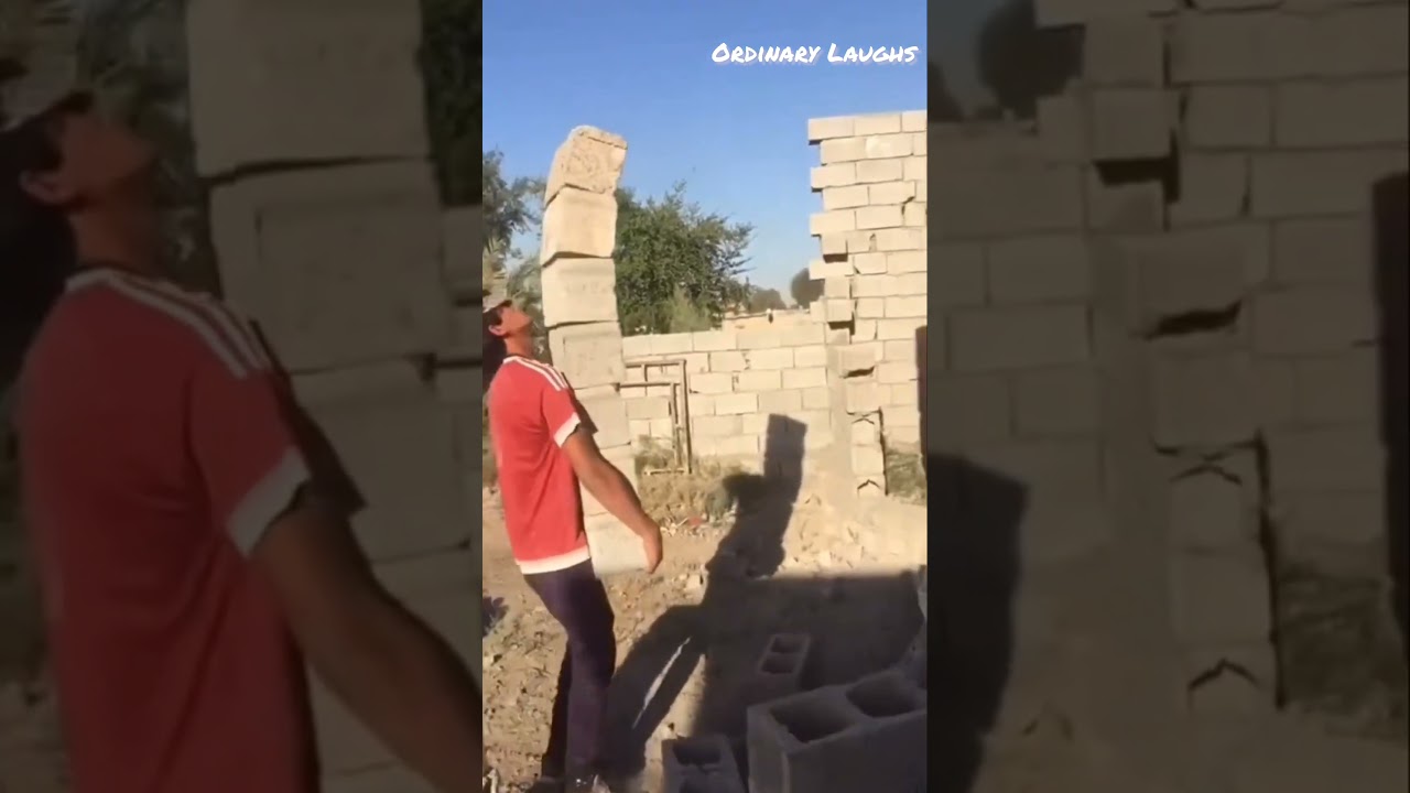 LAUGH...OR ELSE... #funnyvideo #funny #lol #morningfails #fails #laugh #trending #failarmy