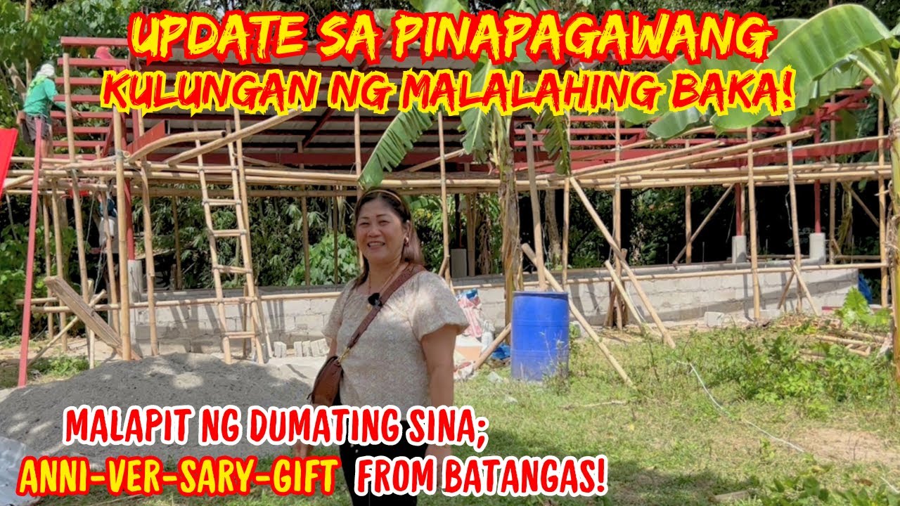 UPDATE SA PINAPAGAWANG KULUNGAN NG MALALAHING BAKA | CATTLE FARMING BUSINESS | SOLLE'S GANDANG BUHAY