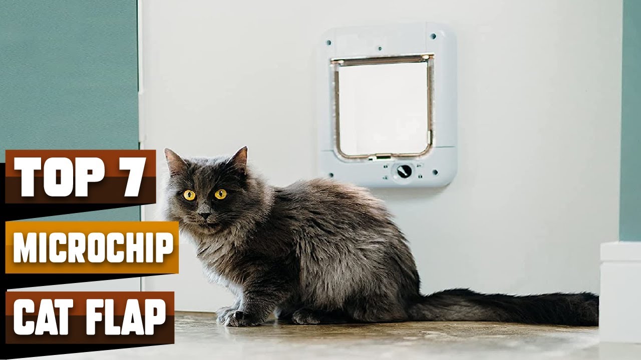 Microchip Cat Flap : Which Should I Take?