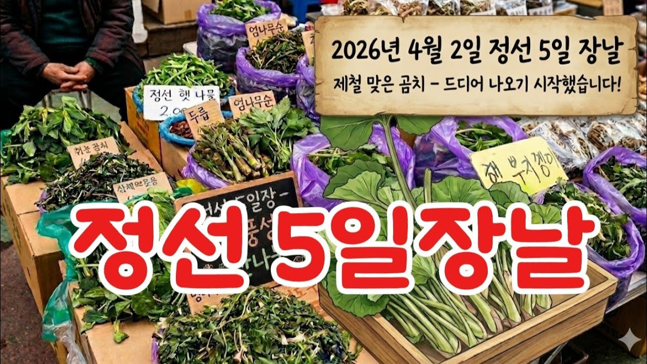 산 나물들이 나오기 시작 했습니다 / 정선5일장날 