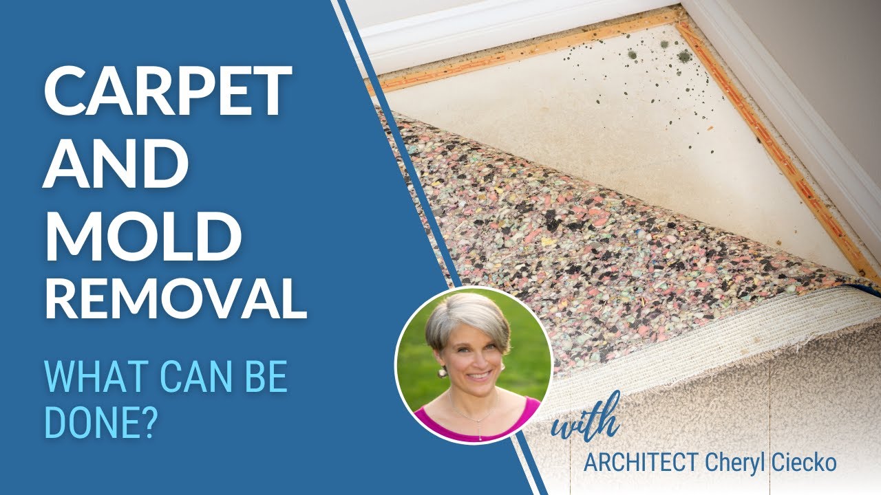 Removing Mold And Carpet : Can It Be Done? Avoiding Mold With Cheryl Ciecko Architect