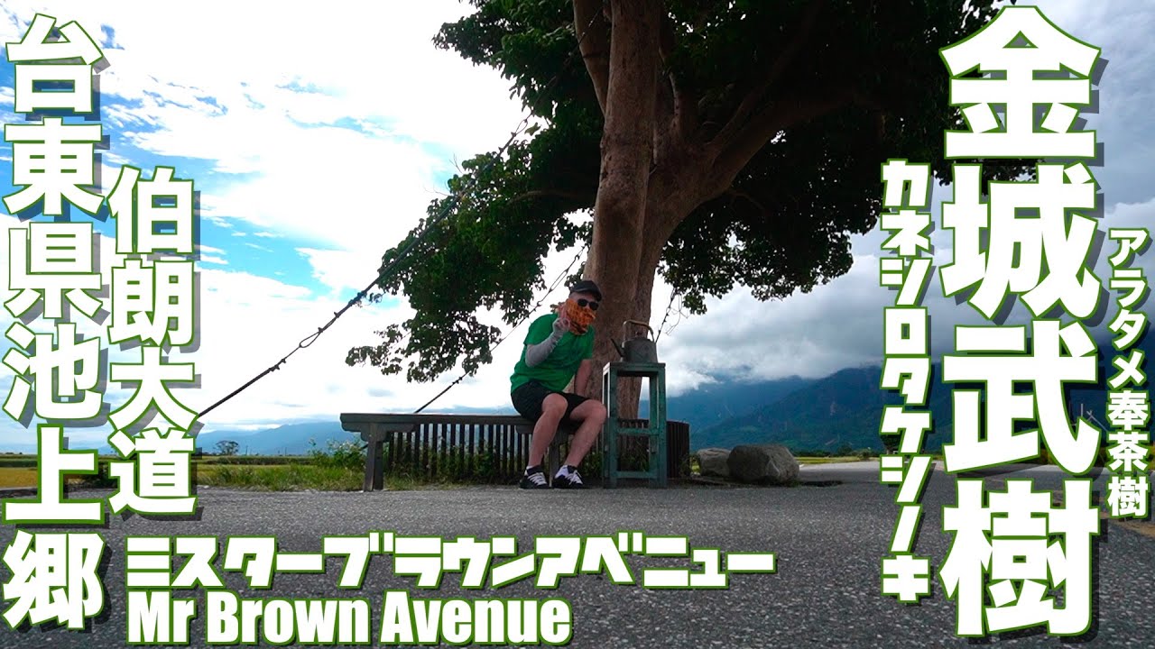 【台湾Vlog】59憧れの「金城武樹」へ行ってきた in 台東縣池上郷
