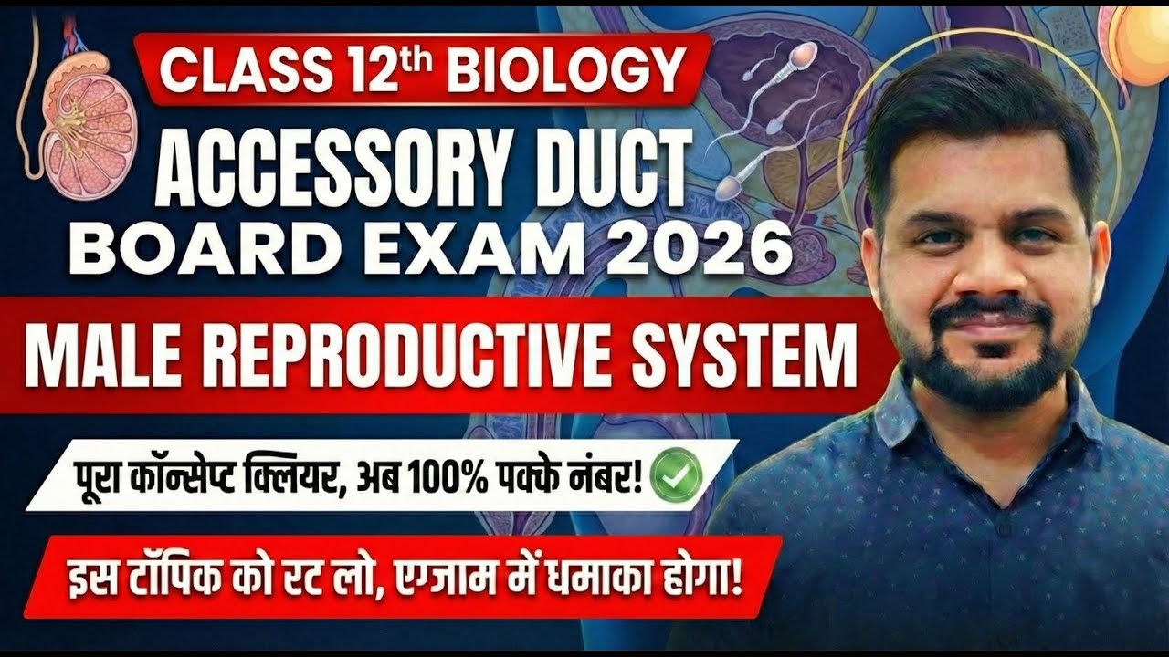Class 12 Biology | Male Reproductive System: Accessory Ducts | Human Reproduction | Board Exam 2026