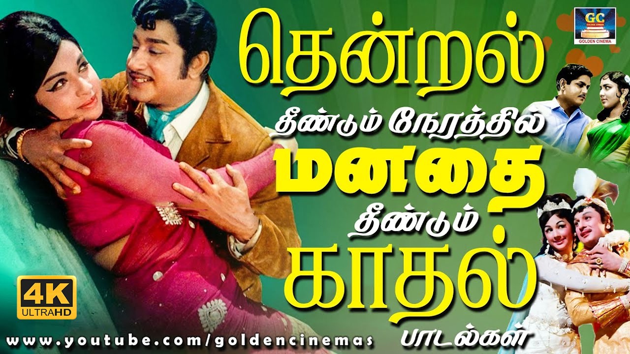 தென்றல் தீண்டும் நேரத்தில் மனதை தீண்டும் காதல் பாடல்கள் | 60s Old Melody Songs | TMS | Susheela | 4K