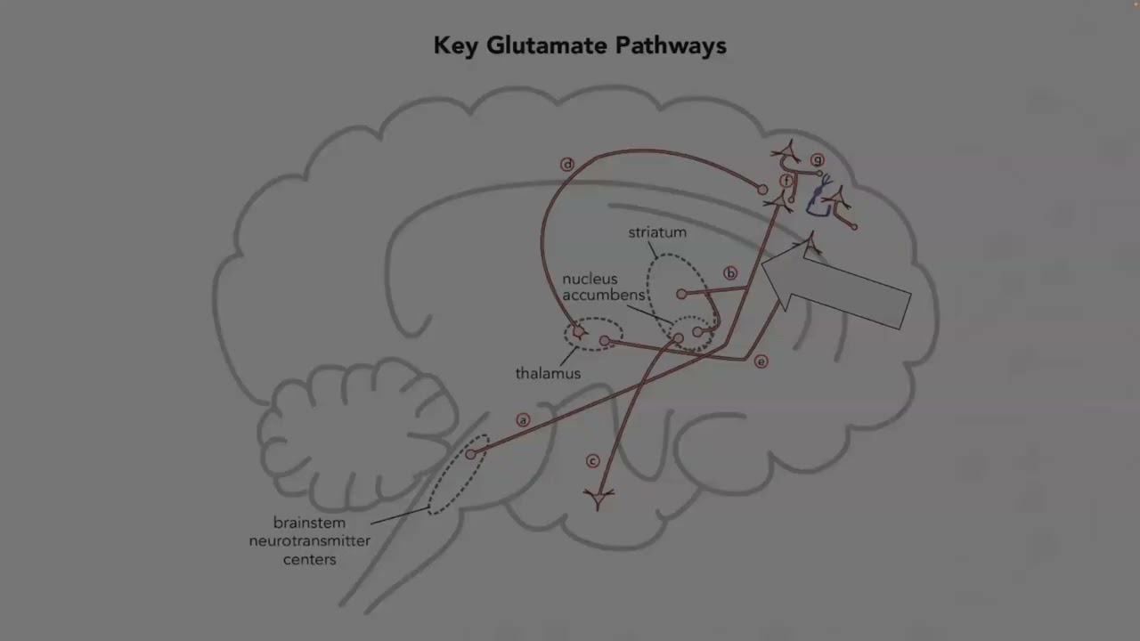 Antagonismo 5HT2A y Agonismo Parcial 5HT1A