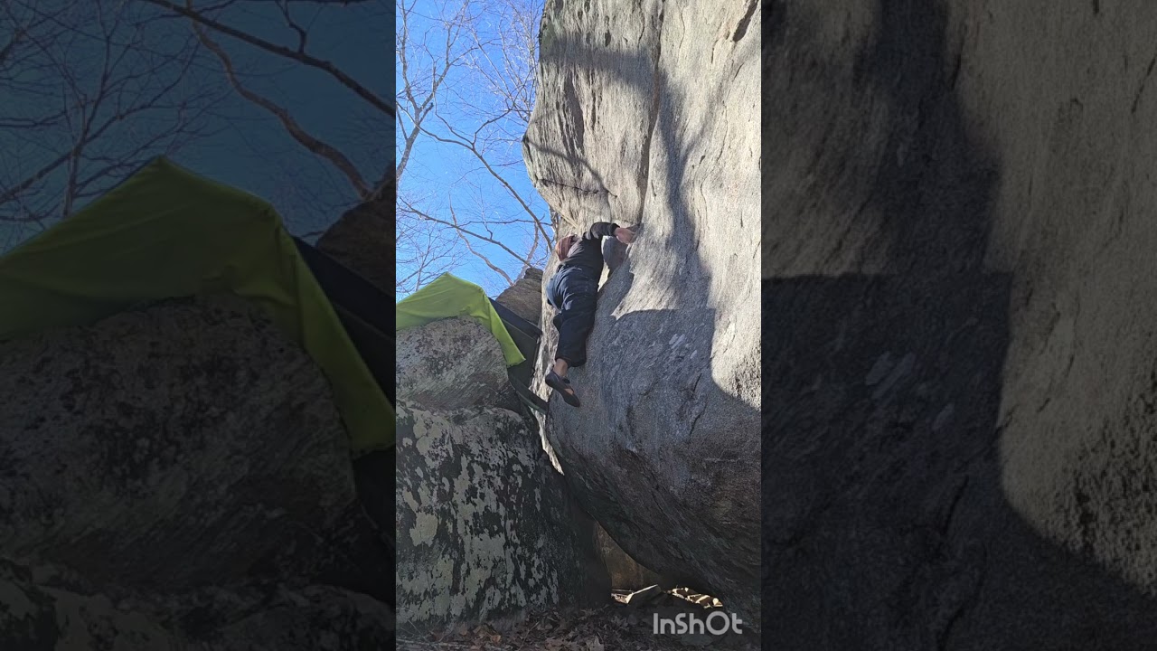SENDING IN NEHANTIC STATE FOREST Up High & Getting An Incredible Rushing High All Day Long From It