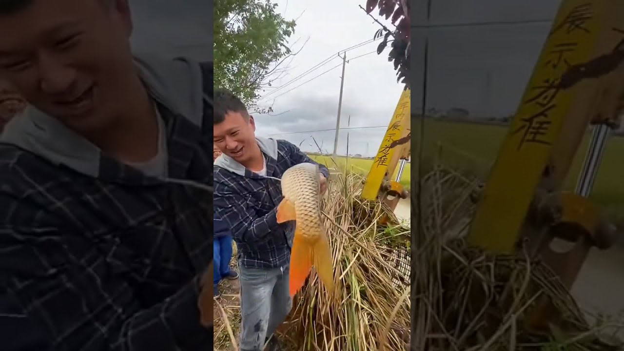 Рыбалка JCB 🐠🐟 охота в реке