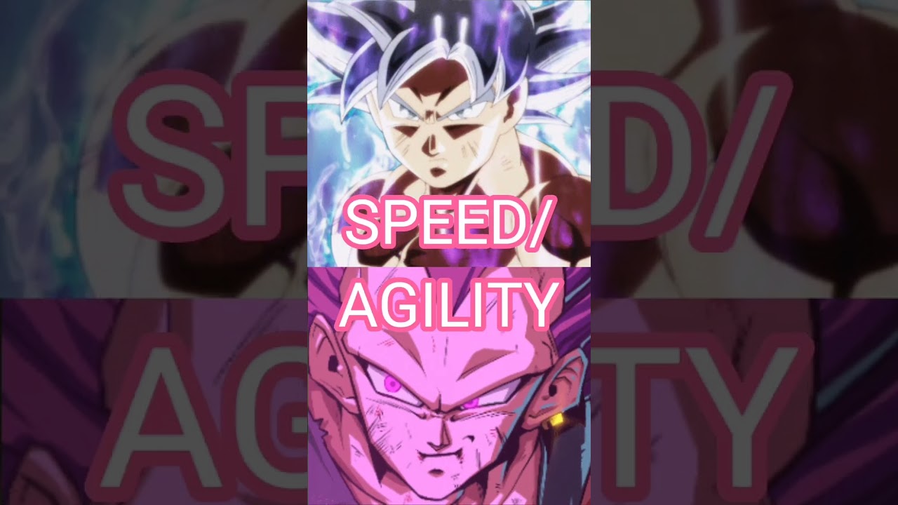 Goku Ultra instinto VS Vegeta Mega Instinto