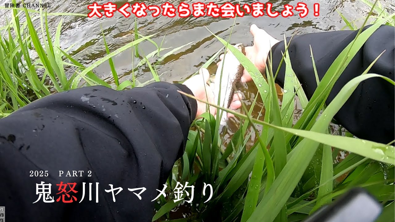 鬼怒川漁協でヤマメを釣る！【2025本流ヤマメ釣り】