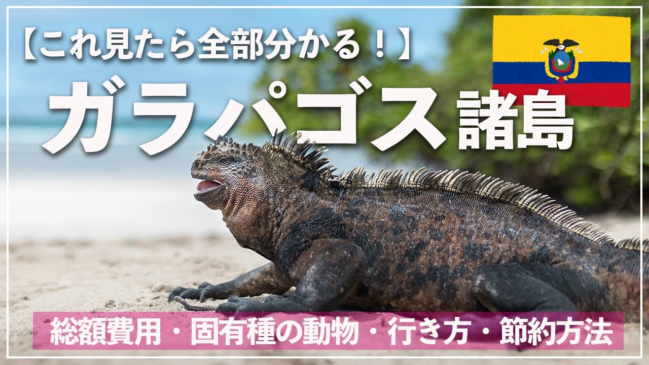 【徹底解説】ガラパゴス諸島への行き方・費用・ベストシーズン・固有種の動物