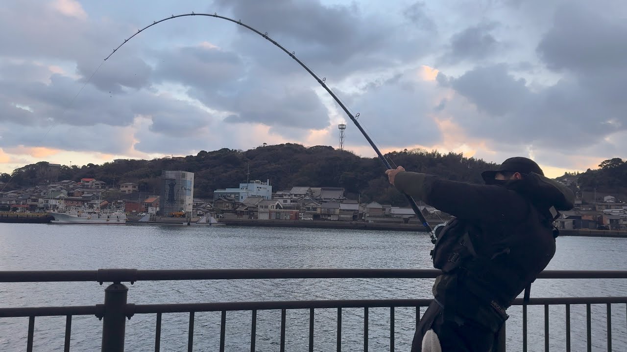【釣り堀超えの釣り場！？】簡単仕掛け！極寒の堤防で大型青物が入れ食いになる泳がせ釣り。