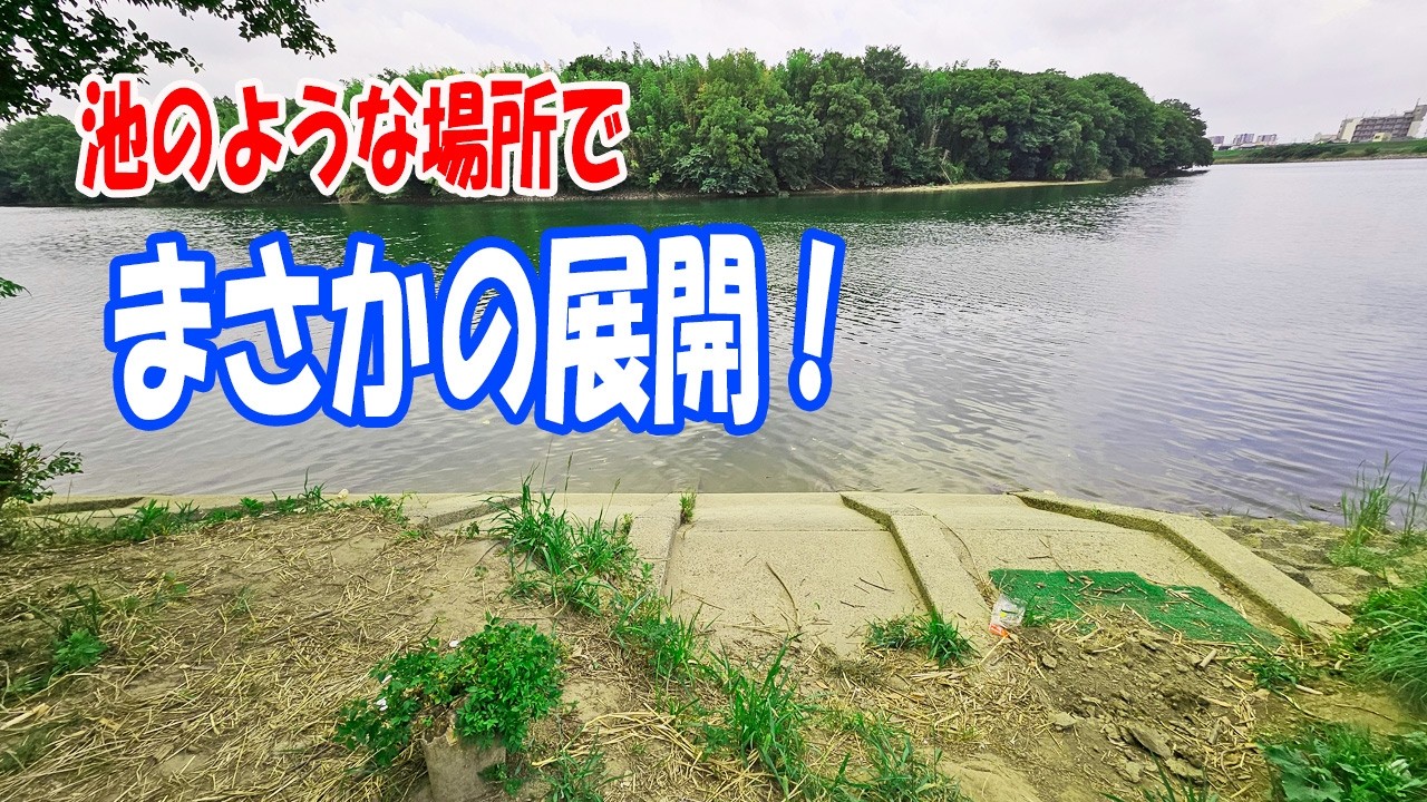 池みたいな大河で夜釣り開始！当たりは止まらない…【うなぎ釣り】　｜　Night Eel Fishing in a Lake-like River! The Bites Won’t Stop...