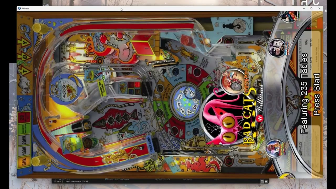 Passo 5 - Frontend PinballX
