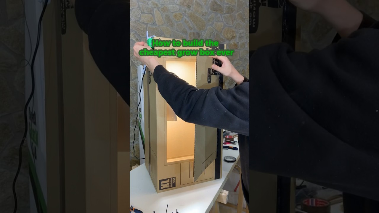 How to build the cheapest grow box ever🔥🔥🔥   #stealth  #building #diy #indoorplants #sgl