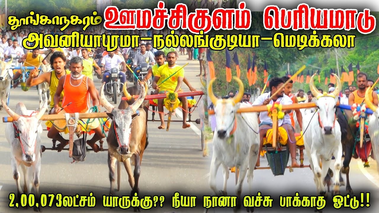ஊமச்சிகுளம் 2,00,073 லட்ச ரூபாய் பெரியமாடு பந்தயம் 2026 Periyamadu  Race