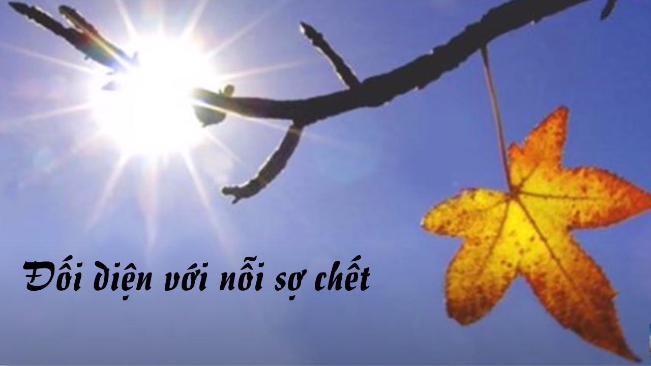 Đối diện với nỗi sợ chết - HT. Viên Minh