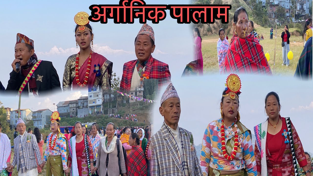 Exploring Limbu Palam: The Future of Organic Footwear