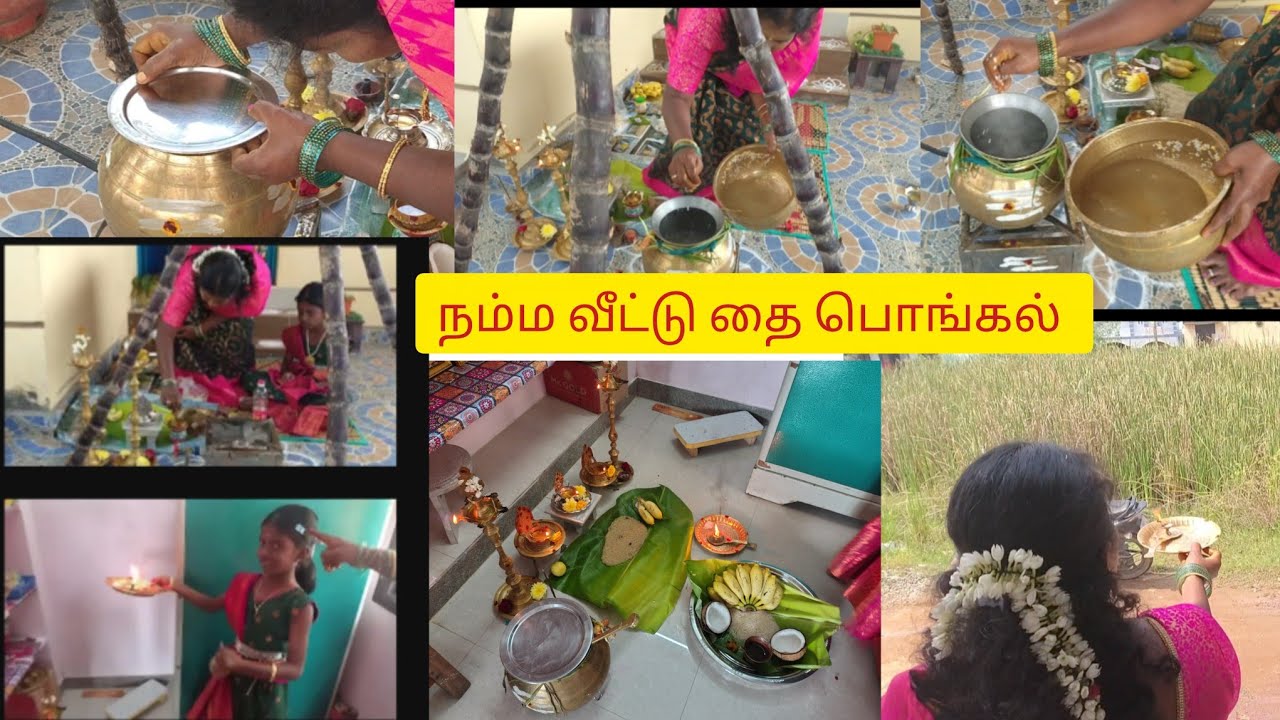 தை 1 தமிழர்களின் பாரம்பரிய🙏 பண்டிகை பொங்கல்✨🌺 கொண்டாட்டம் 🥰🥰💐