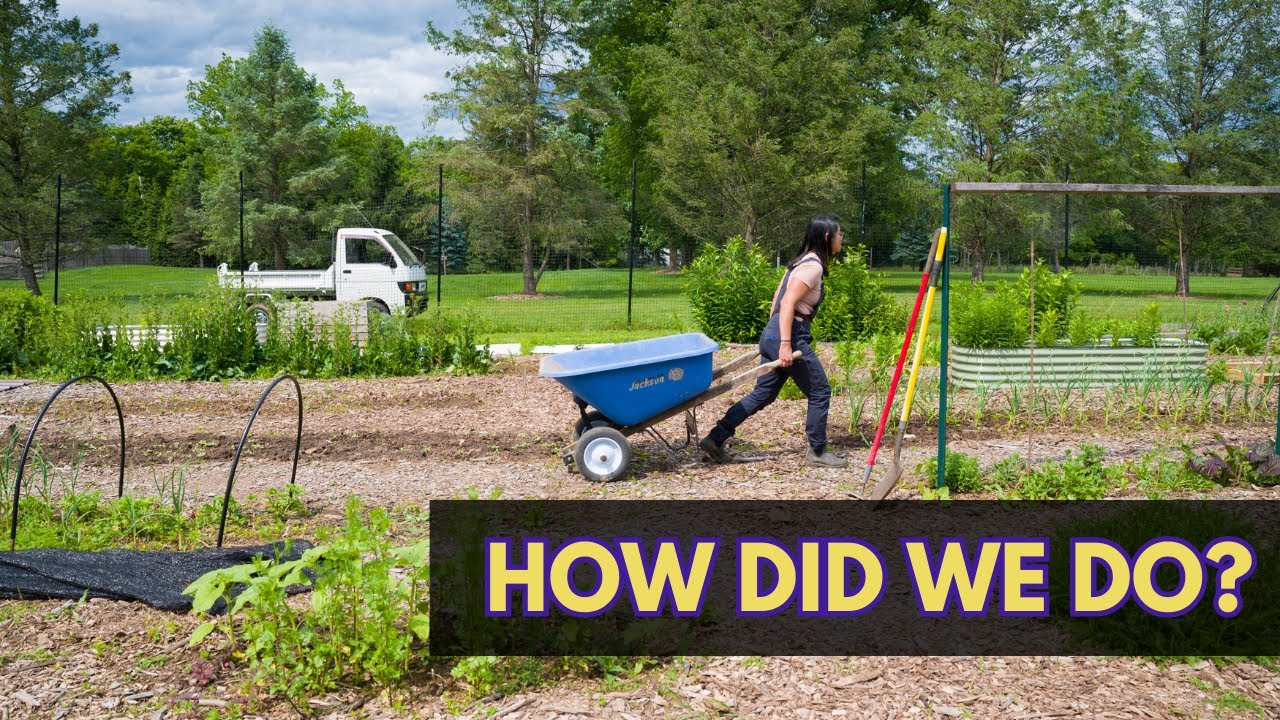 I sold fewer flowers but made better decisions: 2025 reflections