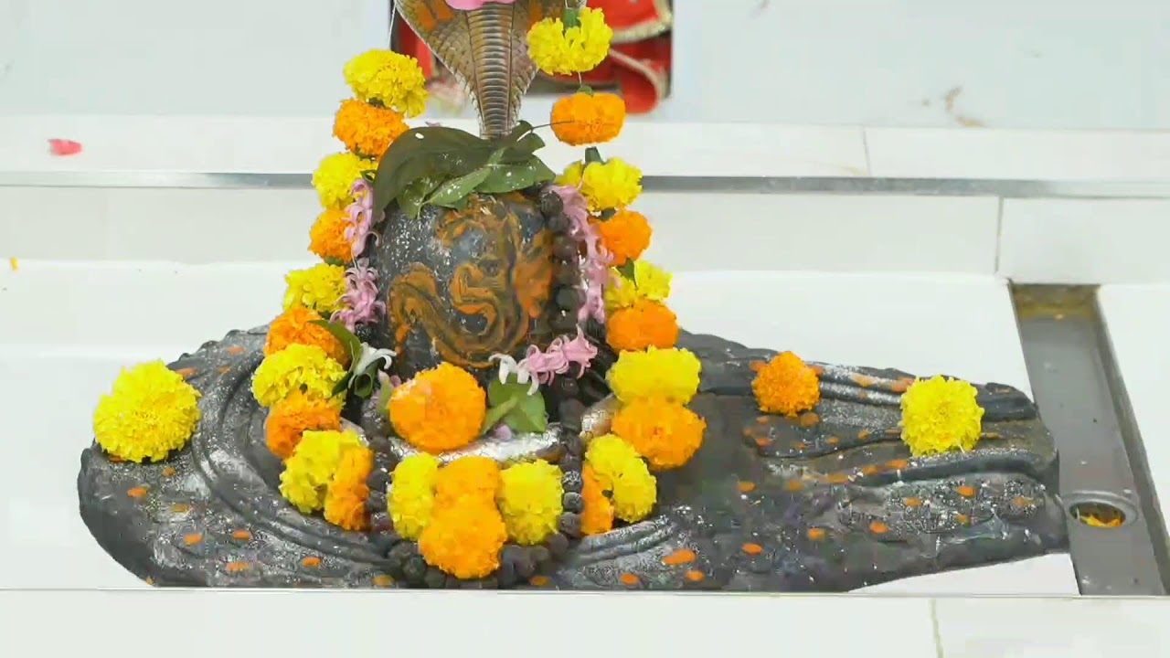 Shree Hindu Temple 28th Patotsav