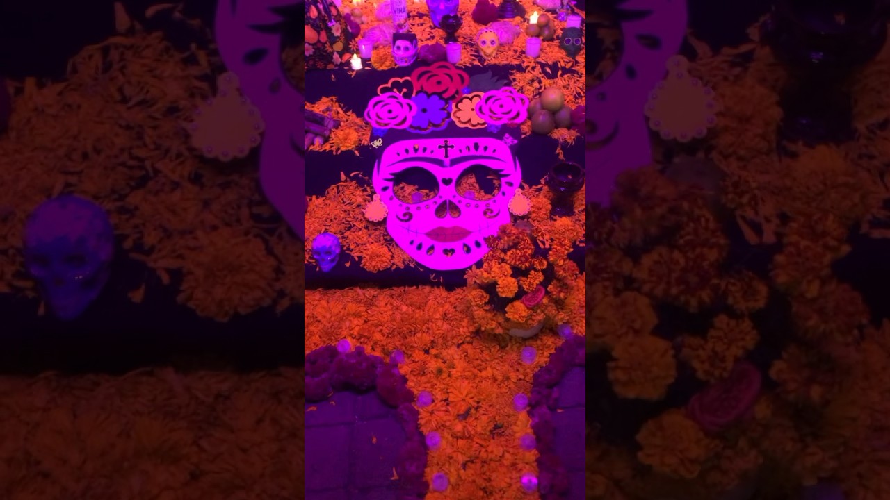 Ofrenda de Frida Kahlo😍❤️🌼🌸