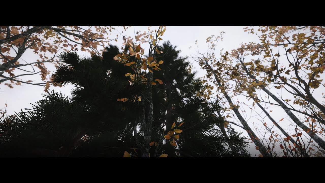 Skyrim SE 4K Showcase 2018 | 